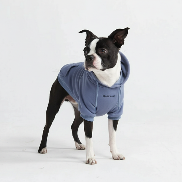 Maglione Essenziale per Cani - Blu Ardesia