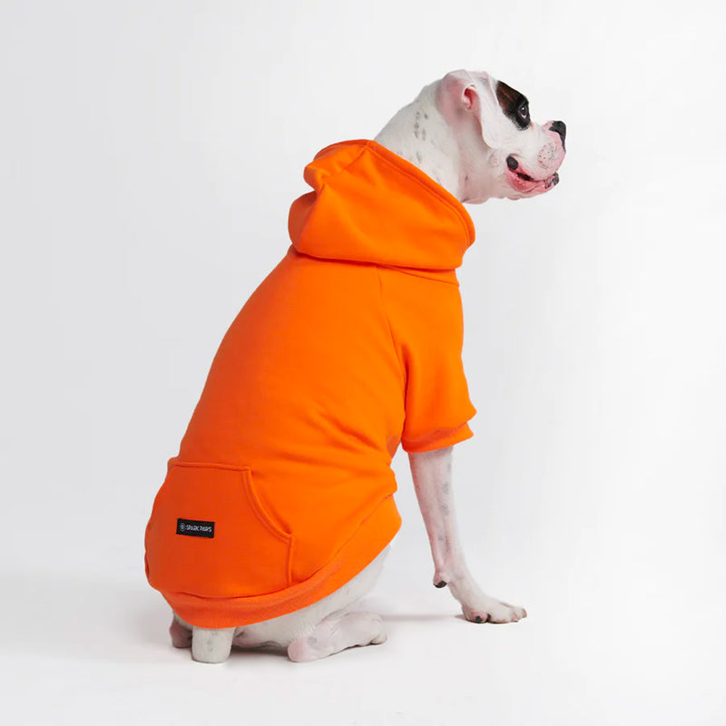 Felpa con cappuccio Essential Dog - Arancione