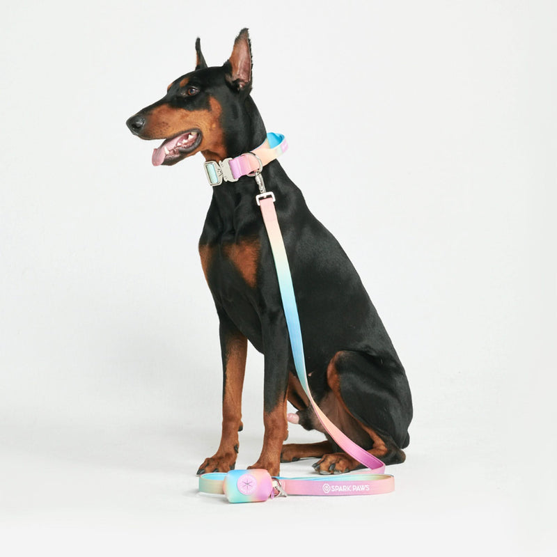 Set di collari tattici per cani - Glassa pastello