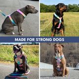 Pastel Icing Harness||size:S,M,L