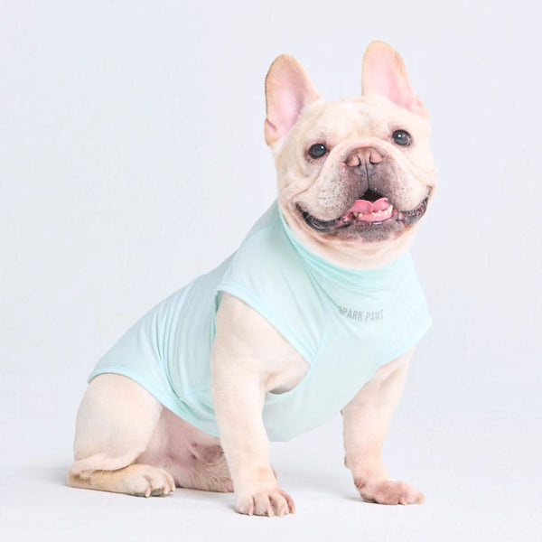 Maglietta per cani con protezione solare - Azzurro