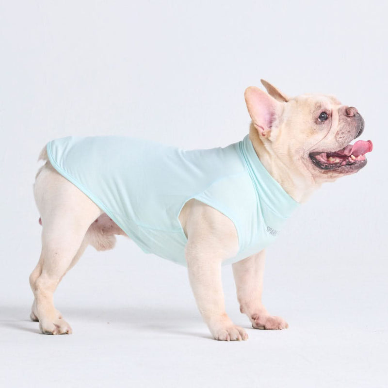 Maglietta per cani con protezione solare - Azzurro
