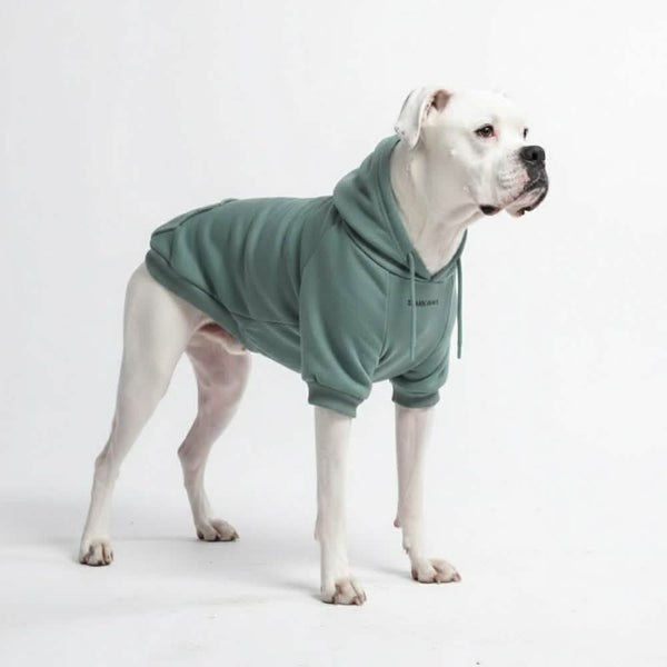 Maglione Essenziale per Cani - Turchese