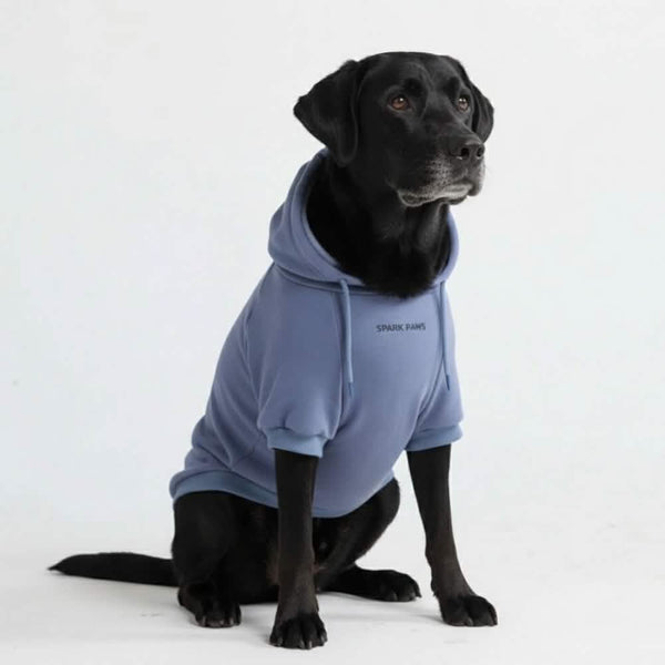 Maglione Essenziale per Cani - Blu Ardesia