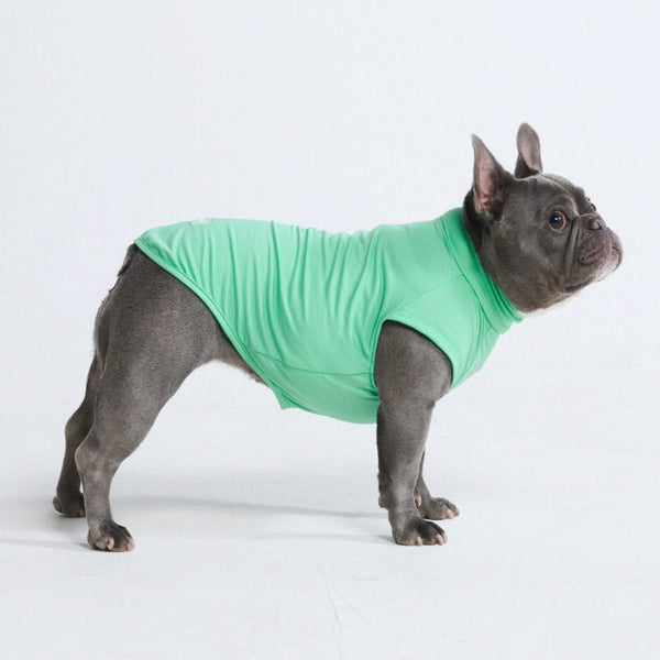 Maglietta per cani Sunblock - Menta