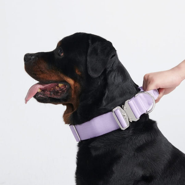 Collare tattico per cani - Lilla