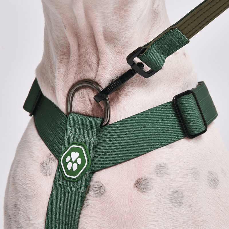 Pettorina per cani Comfort Control No-Pull - Verde