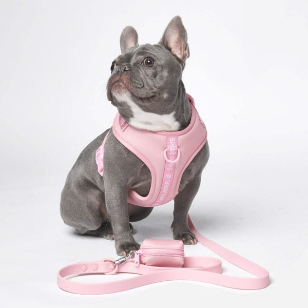 Set Pettorina Yogawear - Rosa