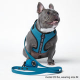 Guinzaglio Impermeabile per cani in PVC - Blu