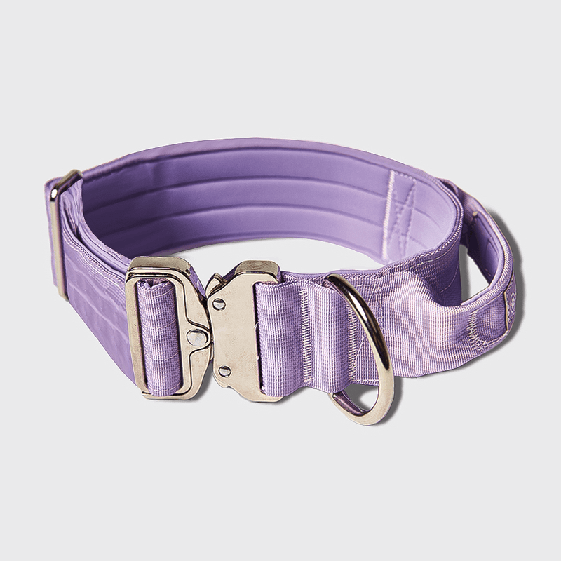 Collare tattico per cani - Lilla
