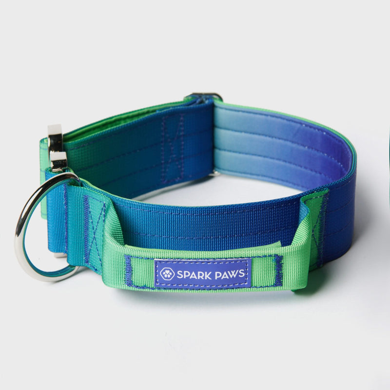 Set di collari tattici per cani - Lime Wave