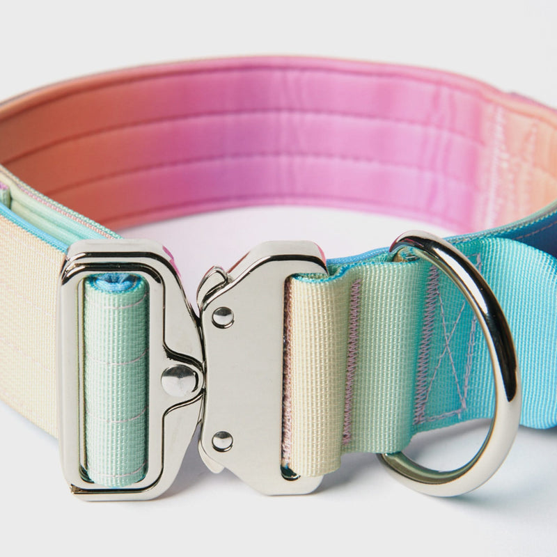 Set di collari tattici per cani - Glassa pastello