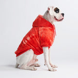 Maglione in Velluto per Cani - Rosso Rubino