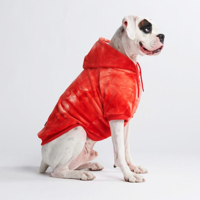 Maglione in Velluto per Cani - Rosso Rubino