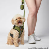 Pettorina per Cani Yogawear - Verde