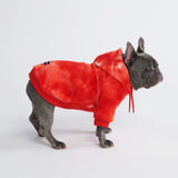Maglione in Velluto per Cani - Rosso Rubino