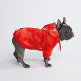 Maglione in Velluto per Cani - Rosso Rubino