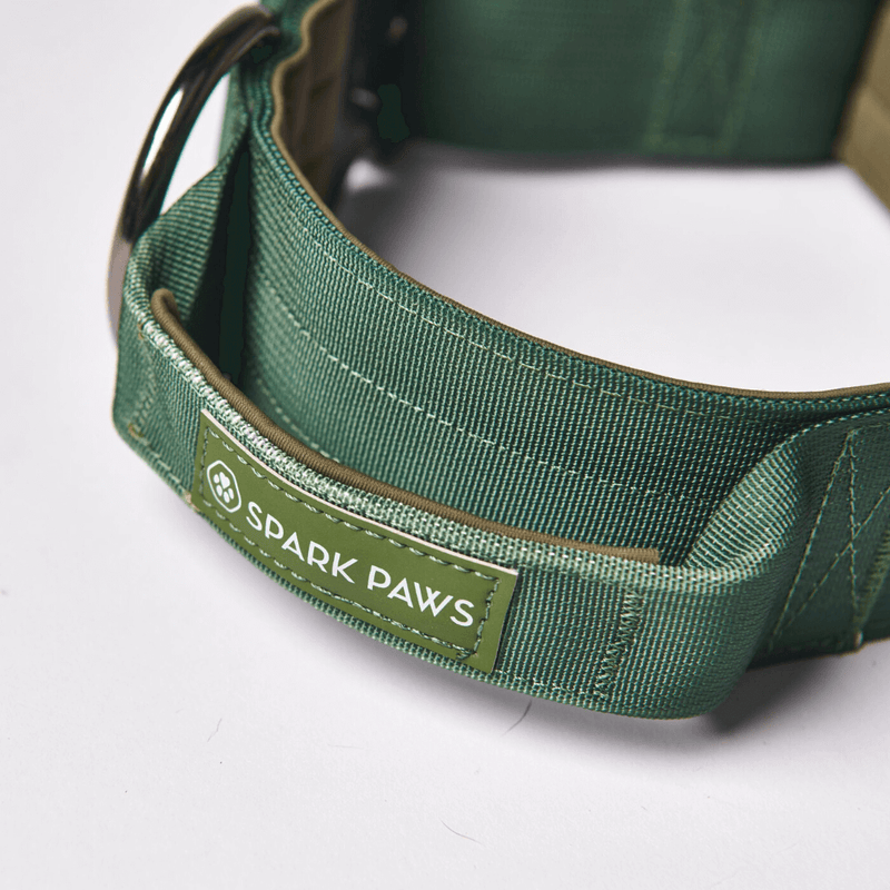 Collare tattico per cani - Verde Militare