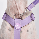 Set di imbracatura per cani Comfort Control No-Pull - Lilla