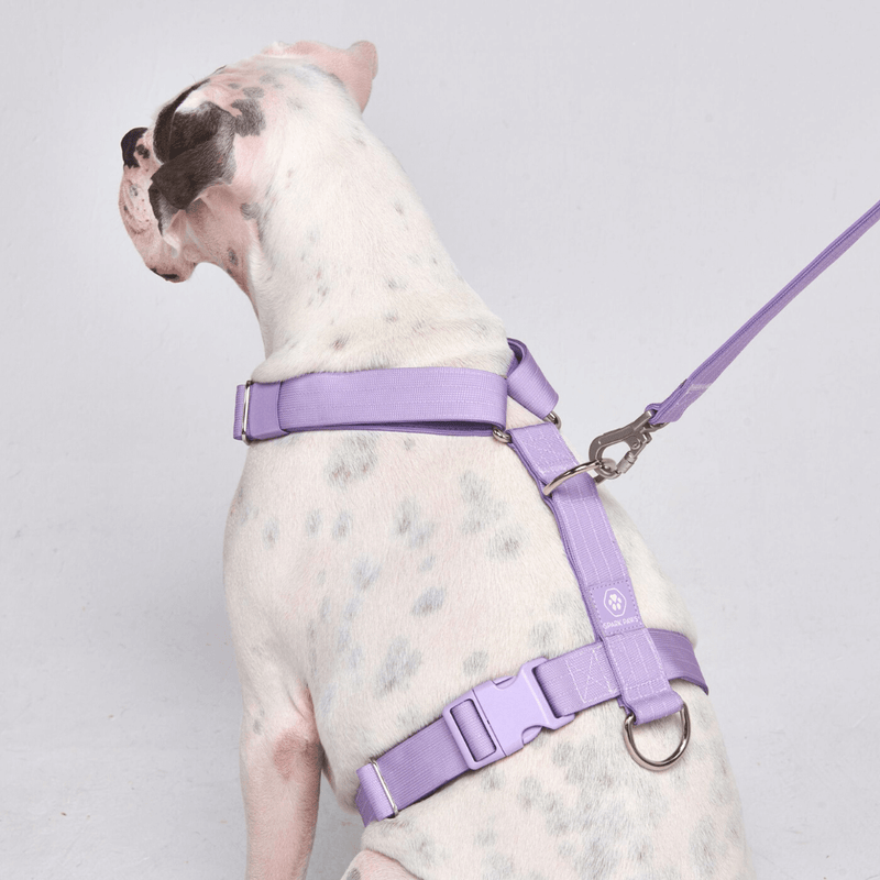 Set di imbracatura per cani Comfort Control No-Pull - Lilla
