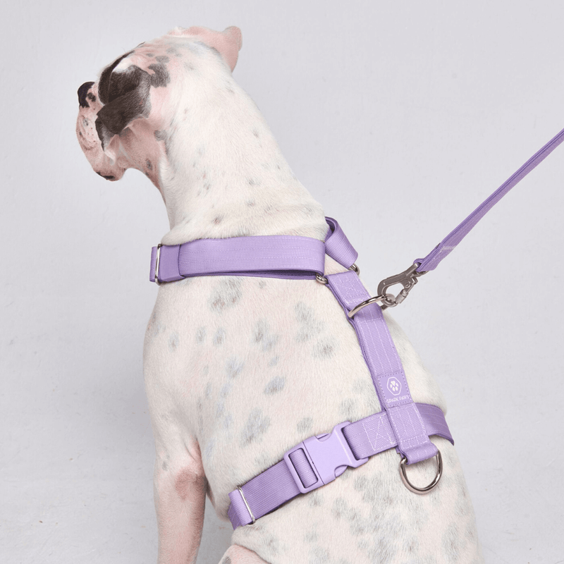 Pettorina per cani Comfort Control No-Pull - Lilla