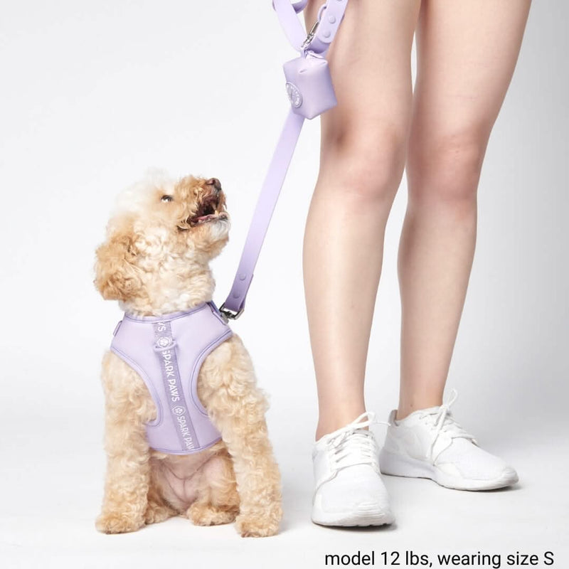 Set Pettorina Yogawear - Lilla