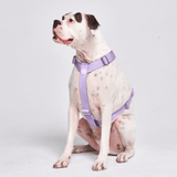 Pettorina per cani Comfort Control No-Pull - Lilla
