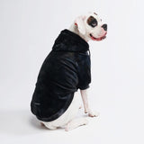 Felpa con cappuccio per cani in velluto - Nero ossidiana