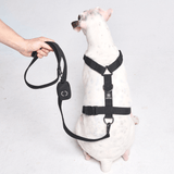Pettorina per cani Comfort Control No-Pull - Nera