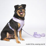 Set Pettorina Yogawear - Lilla