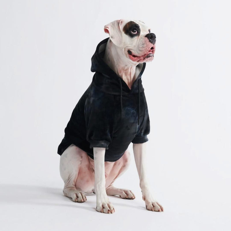 Felpa con cappuccio per cani in velluto - Nero ossidiana