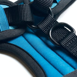 Pettorina per Cani Yogawear - Blu