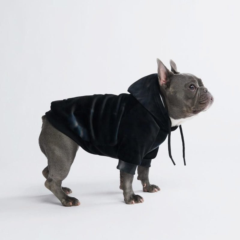 Felpa con cappuccio per cani in velluto - Nero ossidiana