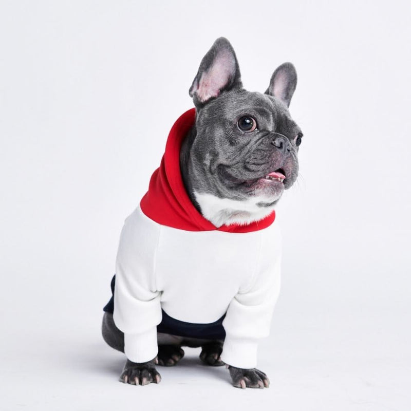 Felpa con Cappuccio per Cani Rossa, Bianca e Marina