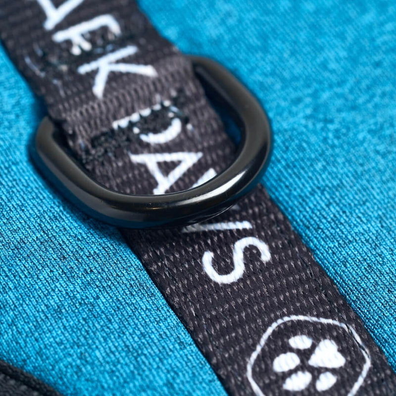 Pettorina per Cani Yogawear - Blu