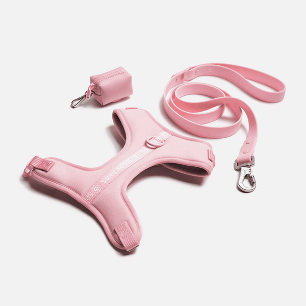 Set Pettorina Yogawear - Rosa