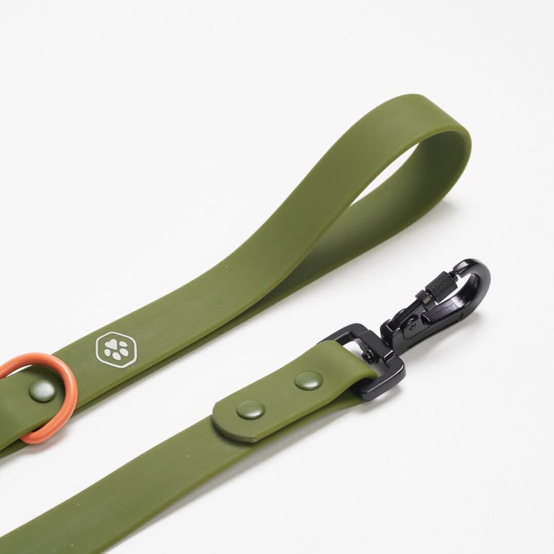 Guinzaglio Impermeabile per cani in PVC - Verde