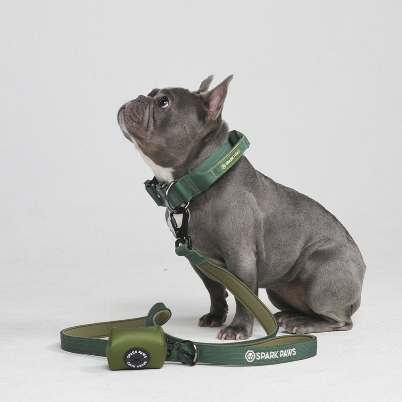 Set di collari tattici per cani - Verde Militare (1,5"/4 cm)