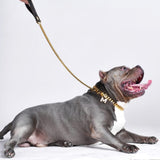 Guinzaglio per Cani a Maglie Cubane in Oro