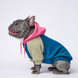 Felpa con Cappuccio per Cani Marina, Oliva e Rosa