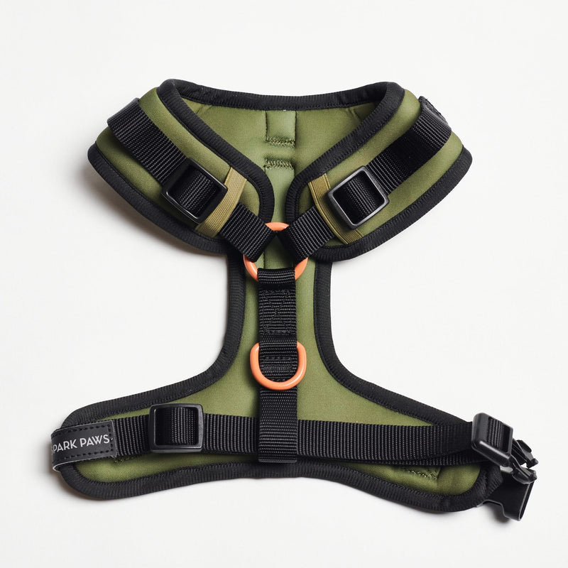Set Pettorina Yogawear - Verde