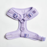 Set Pettorina Yogawear - Lilla