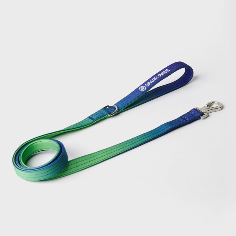 Set di imbracatura per cani Comfort Control No-Pull - Lime Wave