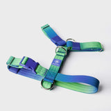 Set di imbracatura per cani Comfort Control No-Pull - Lime Wave