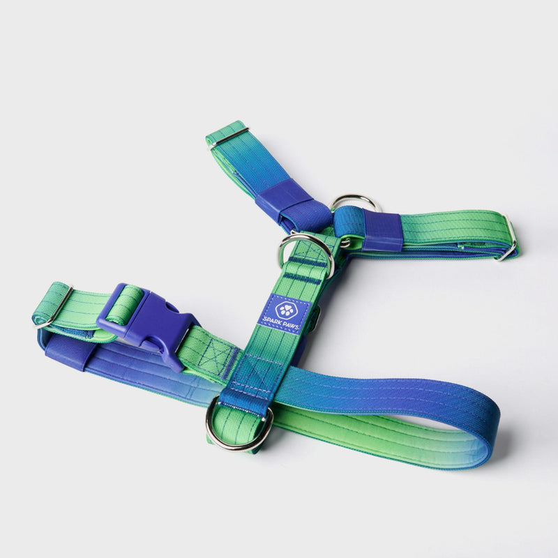 Set di imbracatura per cani Comfort Control No-Pull - Lime Wave