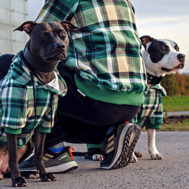 Maglione Plaid per Umani - Quadretti verdi