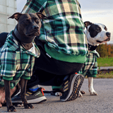Maglione Plaid per Cani - Quadretti verdi