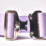 Collare tattico per cani - Lilla