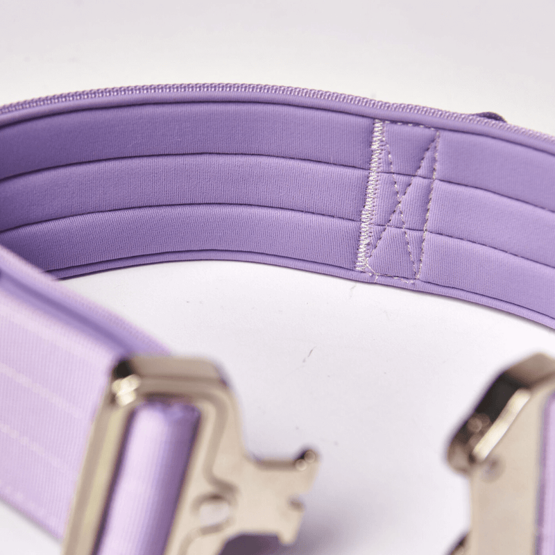 Collare tattico per cani - Lilla