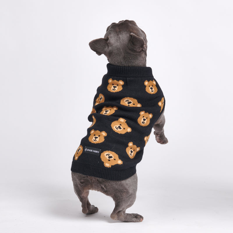 Maglione per cane lavorato a maglia - Orsetto di pezza rotto